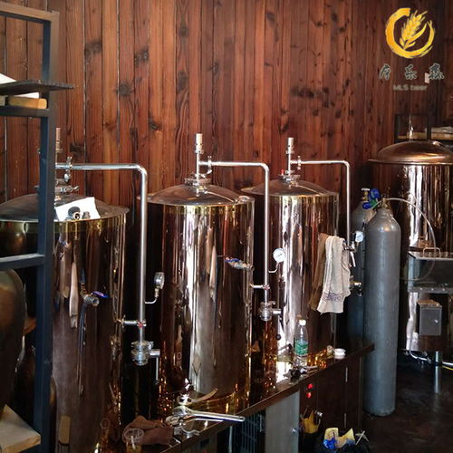 摩樂(lè)森告訴你如何選適合自已的精釀啤酒設(shè)備